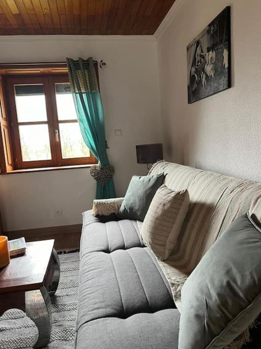 Maison Ray Sur Saone Ray-sur-Saone 외부 사진