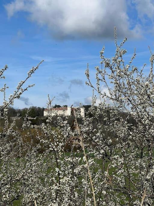 Maison Ray Sur Saone Ray-sur-Saone 외부 사진